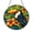 Acrylic 3.5 Inch, variant on Toucan Bird Stained Glass Clipart Round Digital Art for Crafts