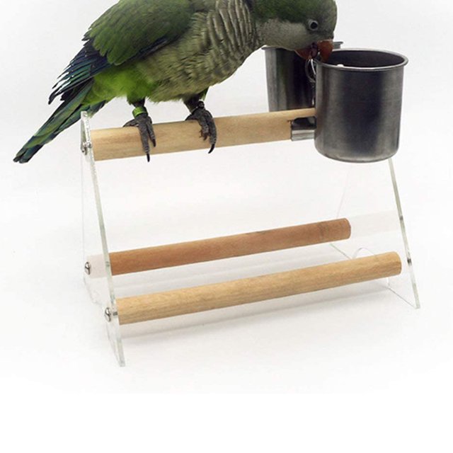 Tazas de alimentación para loros, comederos de platos de comida para pájaros de acero inoxidable, cuencos de jaula de agua dobles con soporte de abrazadera para cacatúas, periquitos