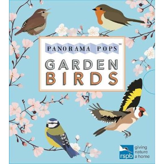 Pre-Owned Garden Birds: Panorama Pops (Hardcover) by Lorna Syson