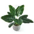 thumbnail image 1 of Planta artificial realista sin maceta: decoración del hogar de plantas tropicales falsas de plástico, 1 of 8