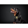thumbnail image 2 of The Good Dog Tactical Dog Collar, Black, Large, 2 of 2