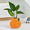 thumbnail image 1 of Ceramic Hydroponic Vase for Home and Design Container Ideal for Floral Arrangements and Modern Style, 1 of 6