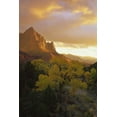 thumbnail image 2 of Young, Bill 11x14 Black Ornate Wood Framed with Double Matting Museum Art Print Titled - UT, Zion NP  Canyon landscape at sunset, 2 of 4