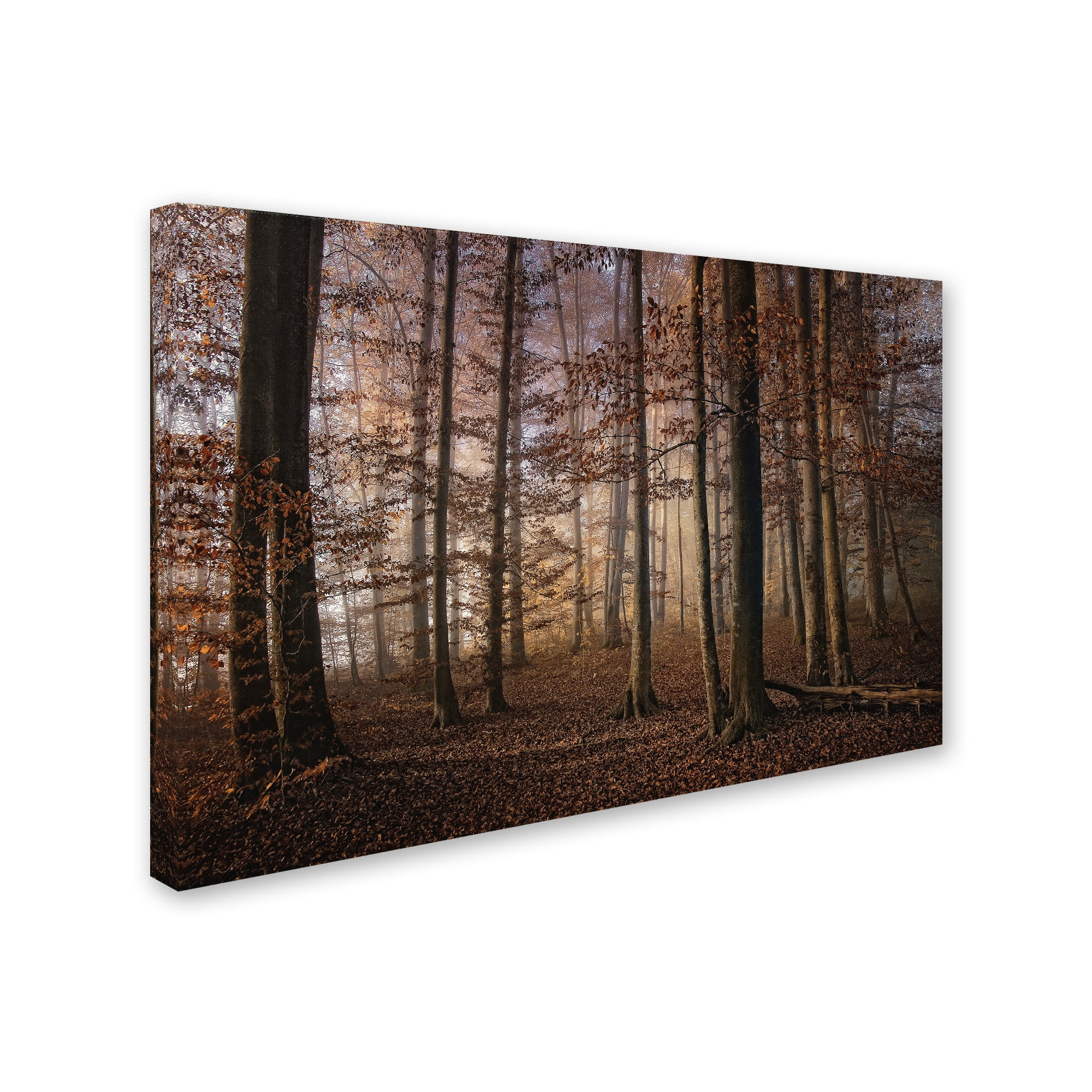 Norbert Maier 'Autumn' Canvas Art