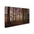 thumbnail image 2 of Trademark Fine Art 'Autumn' Canvas Art by Norbert Maier, 2 of 3