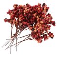 thumbnail image 3 of Miangastore 12pcs Artificial Berry Stems Christmas Berry Picks Decor Berries Branches Decorations, 3 of 8