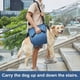 thumbnail image 3 of Azul - Arnés para perros, mochila de emergencia para mascotas, arnés elevador para cortauñas de perros, para lesiones articulares (XL, 1 unidad), 3 of 5