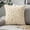 Champagne, variant on Christmas Throw Pillow Covers 18x18 Inch, Soft Plush Decorative Square Pillowcases, Farmhouse Holiday Cushion Covers for Couch Sofa Living Room Bedroom Outdoor Home Decor
