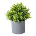 thumbnail image 2 of Travelwant Mini Artificial Plants Fake Plants Faux Green Bonsai Potted Faux Green Grass Fake Grass Plant Topiary Shrubs with Pots for House, Farmhouse, Bathroom, Office, Home Decor, 2 of 2