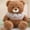 Brown, variant on Nebwoak Plush Toys for Girls 3.6 Years Bear Doll Children's Gift Soothing Sleep Accompanying Cute Birthday Gift Princess Plush Toy Boys And Girls Holiday Gift Parent Child interactive Toy