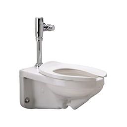 Zurn Z5617 Toilet Bowl Z5617-BWL