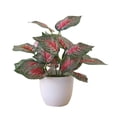 thumbnail image 3 of Visland Mini Potted Fake Plants Artificial Plastic Foliage Plants for Home Office Desk Farmhouse Room Decor, 3 of 3