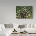 thumbnail image 3 of Trademark Fine Art 'Mama in the Garden' Canvas Art by Jan Benz, 3 of 3
