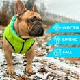 thumbnail image 3 of AiryVest Lightweight Reversible Winter Dog Coat - Warm Dog Jacket - Water Resistant Windproof - Insulated Dog Apparel for Small, Medium & Large Dogs - Comfortable Dog Puffer Vest - Black/Light Green, 3 of 50