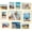 Gold, variant on 11x14 Picture Frame 2 Pack, Photo Frame with HD Plexiglass, Display Pictures 8x10 with Mat or 11x14 Without Mat, Natural Picture Frames Collage Wall Decor, Gallary Wall Frame