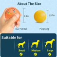 thumbnail image 5 of Shaky Ball Dog Toy,Viral Shaky Ball for Dogs,Shaky Ball Dog,Shaky Ball Toy, 5 of 5