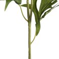 thumbnail image 4 of Vickerman FR190411 33,5 Po Spray de Fleurs de Lupin Sauvage Blanc, 4 of 5