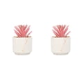 thumbnail image 4 of Kearding 4 piezas de plantas de bonsái suculentas para una exquisita decoración del hogar-maceta de flores para el jardín del hogar no Type1 NO1, 4 of 6