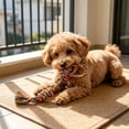 thumbnail image 6 of Dog Rope Knot Chew Toy, Multicolor Cotton Teething Training Accessory, Interactive Tug Activity Companion, Teeth Cleaning Exercise Equipment, Durable Braided Play Toy For Pets, 6 of 6