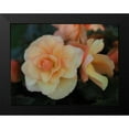 thumbnail image 2 of Bonin, Suzanne 18x15 Black Modern Framed Museum Art Print Titled - Tuberous Begonia, 2 of 5