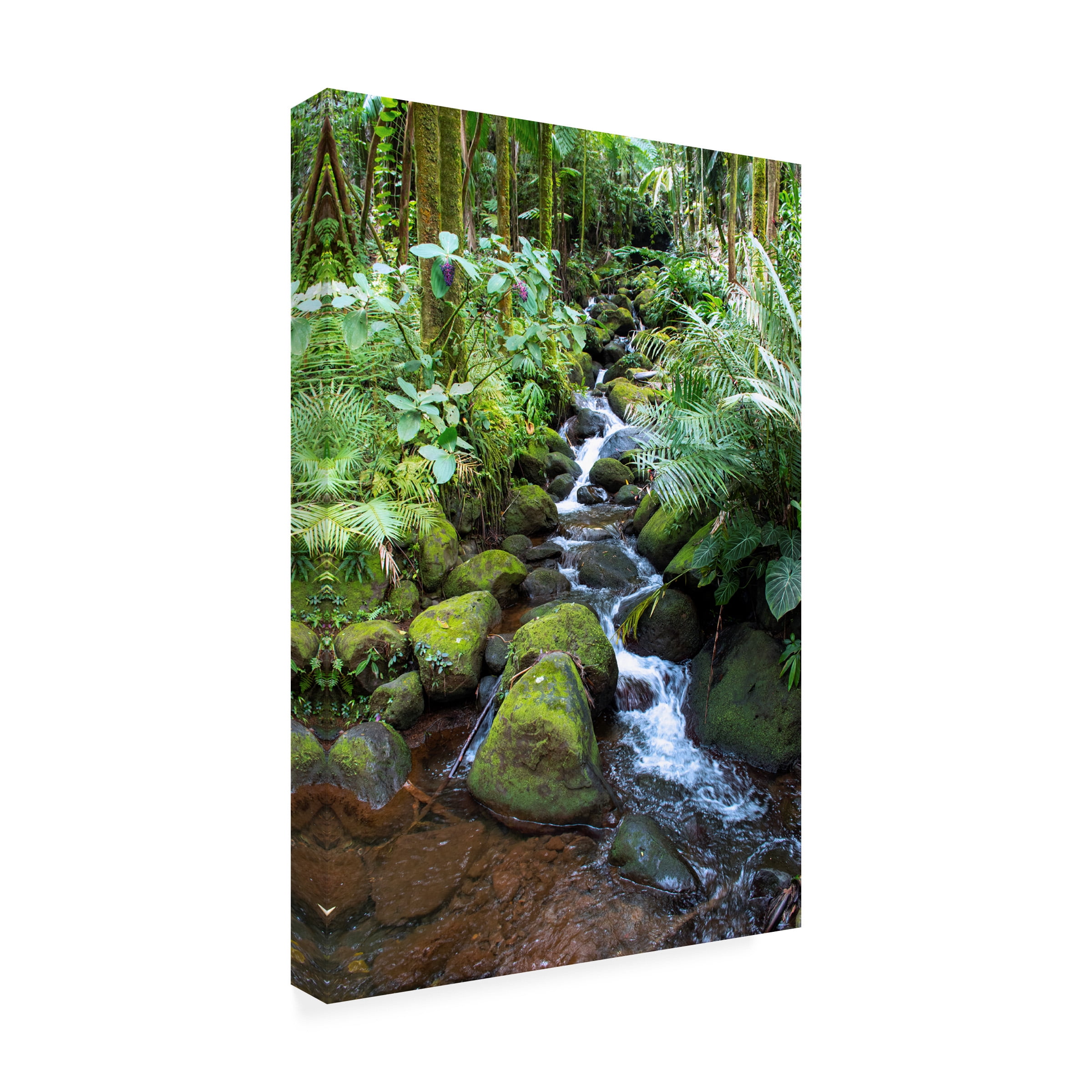 Robert Michaud 'Tropical Forest' Canvas Art
