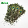 thumbnail image 1 of Pack Of 25pc Natural Peacock Feathers 10-12'', 1 of 3