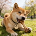 thumbnail image 1 of Stainless Steel Round ID Engraved & Dog Lost With Keyring For And Identification, 1 of 5