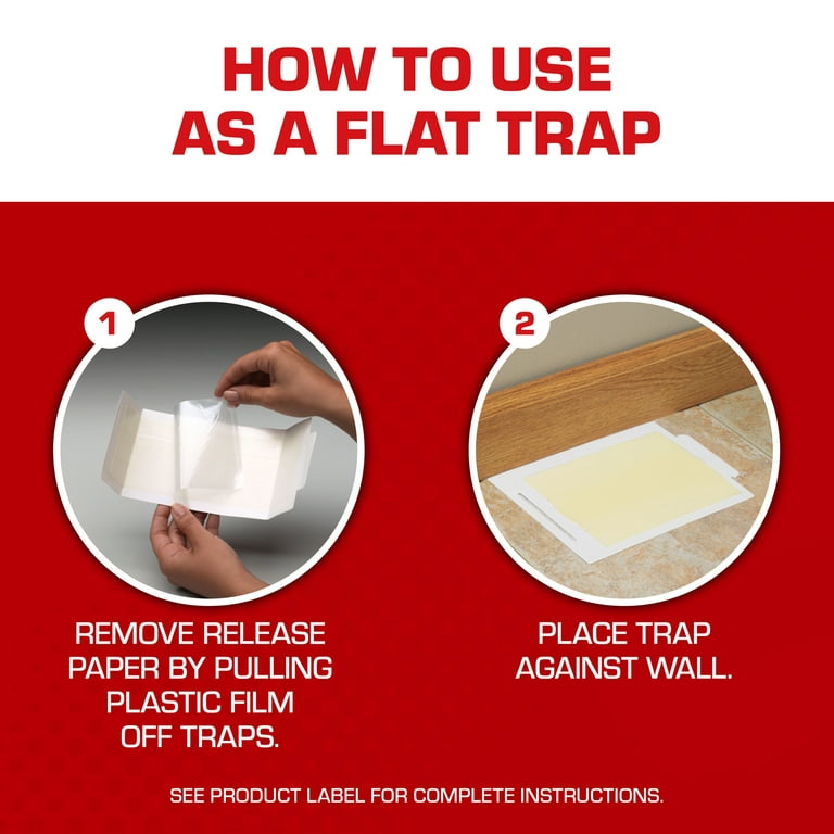 Tomcat Mouse Trap with Immediate Grip Glue for Mice, Cockroaches, and  Spiders, Ready-to-Use, 2-Pack (8 Glue Traps)