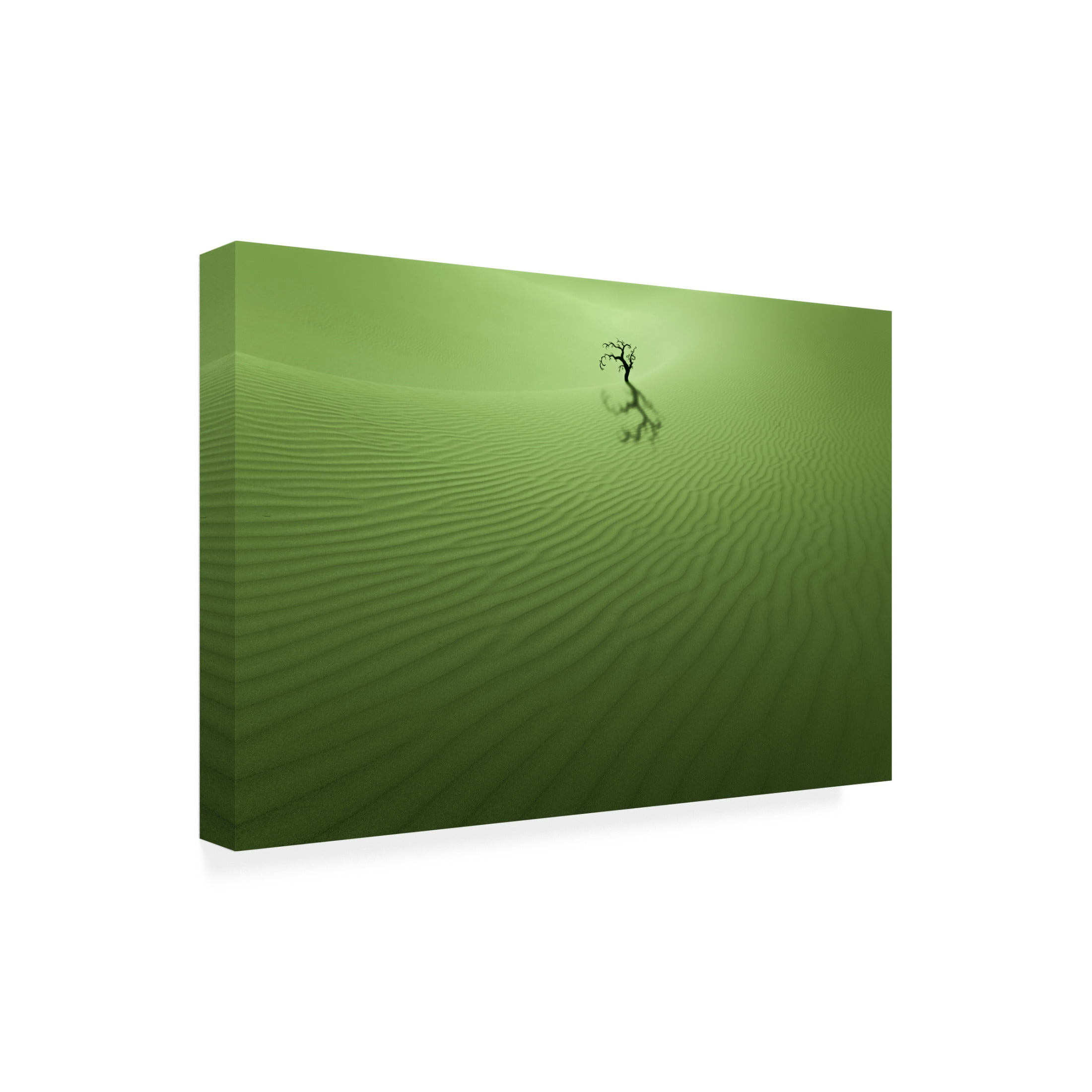 Trademark Fine Art Xiaopeng Guan Vitality Canvas Wall Art