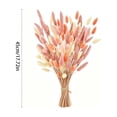 thumbnail image 2 of Cheapark 60 Pieces Bunny Tail Preserved Flowers Dried Flower Stems Decorative Florals for Vase Arrangement Home Decor Gift, 2 of 7