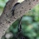 thumbnail image 3 of Jardineras de plástico colgantes Brillar con cadena de gancho, 3 of 5