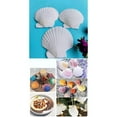 thumbnail image 2 of 36PCS 2\\\'\\\'-3\\\'\\\' Natural Scallop Shells For DIY Crafts, Beach Decor & Weddings For Creating Decorative / Crafting Jewelry, 2 of 6