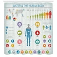 thumbnail image 3 of Ambesonne Anatomy Shower Curtain, Water and Human Body Info, 69"Wx70"L, Pale Blue and Multicolor, 3 of 3