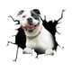 thumbnail image 5 of Pegatinas 3D con diseño de cachorro y ventana rota para coche, decoración de motocicletas, simulación de bulldog francés, calcomanías de vinilo impermeables para ventanas traseras de automóviles, 5 of 5