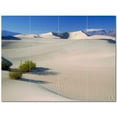 thumbnail image 1 of Desert Picture Ceramic Tile Mural Kitchen Backsplash Bathroom Shower 404665-S43, 1 of 3