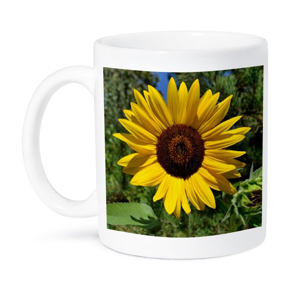 3dRose, Summer Sunflower Flower Photography Macro, 15oz Mug