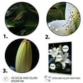 thumbnail image 3 of Designart "White Green Lily Exquisite Lily Painting II" Floral Floater Framed Wall Art Print, 3 of 7