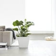 thumbnail image 2 of Ecopots Rotterdam Durable Indoor/Outdoor Modern Recycled Plastic Flower Pot Planter Pure White 12"", 2 of 4
