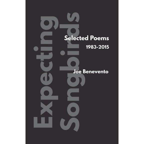 Expecting Songbirds (Paperback)