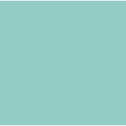 (2 pack) Cricut® Infusible Ink™ Sheets (2), Mint, 12 x 12