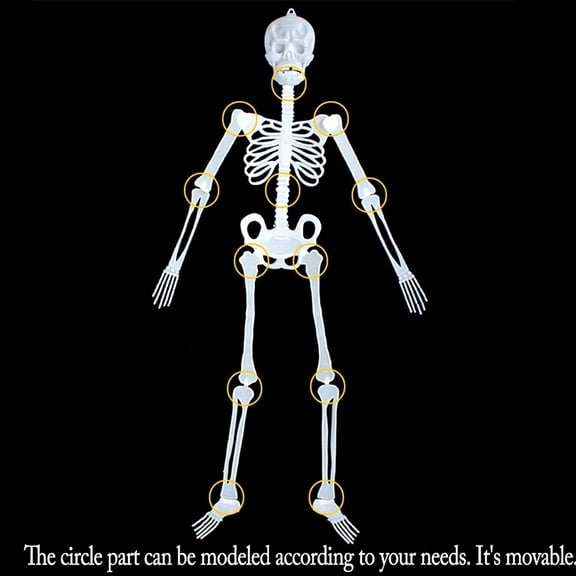 NovaStitch Halloween Skeleton Glow-in-the-Dark Prop Full Body Hanging Bones Figure with Skull and Ribcage HalloweenDecorations Indoor Yard Wall Decor Night Light Skeleton Ornament