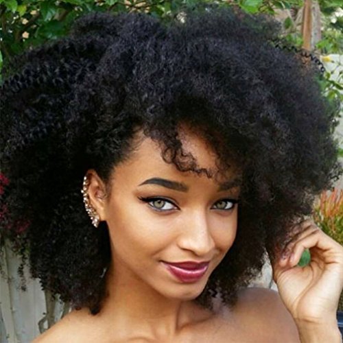 Luwigs Afro Kinky Curly 4b 4c Clip In Hair Extensions For Black