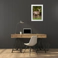 thumbnail image 3 of Horton, Janet 23x32 White Modern Wood Framed Museum Art Print Titled - Black-tailed doe with mange, 3 of 4