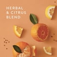 thumbnail image 2 of Thymes Mandarin Coriander Reed Diffuser Oil - Room Fragrance Oil - Flameless Home Fragrance7.75 Fl Oz, 2 of 6