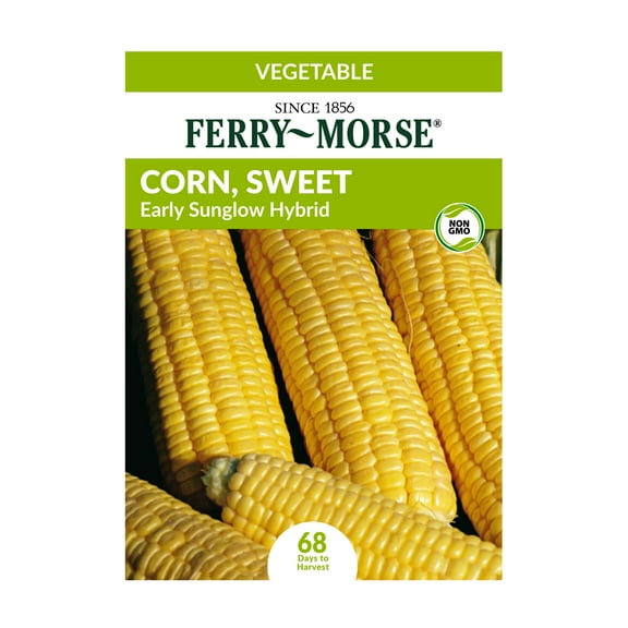 Ferry-Morse 1G Sweet Corn Early Sunglow Hybrid Vegetable Plant Seed Full Sun