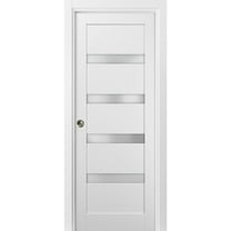 Panel Lite Pocket Door 24 x 80 with Frames | Quadro 4113 White Silk with Frosted Opaque Glass | Kit Trims Rail Hardware | Solid Wood Interior Pantry Kitchen Bedroom Sliding Closet Sturdy Doors