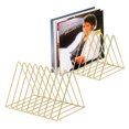 thumbnail image 1 of Organizador de Discos de Vinilo Skywin Paquete de 2 Capacidad para 60 Álbumes Dorado, 1 of 7