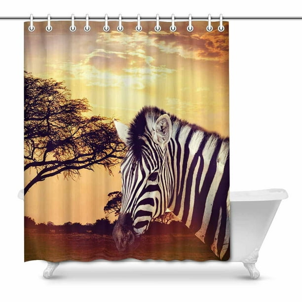 MKHERT Zebra Portrait on African Sunset Africa Safari Wildlife ...