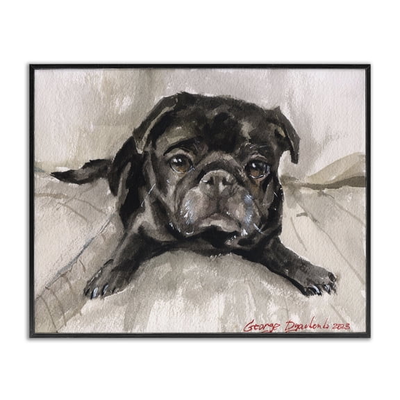 Stupell Industries Modern Cozy Pug Relaxing Black Framed Giclee Art, 14 x 11, by George Dyachenko