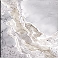 thumbnail image 1 of Cuadro Decorativo | Fine Art Tj | Resumen Mineral Plateado Y Gris Por Tara Reed - 127 x 127 cm, 1 of 4